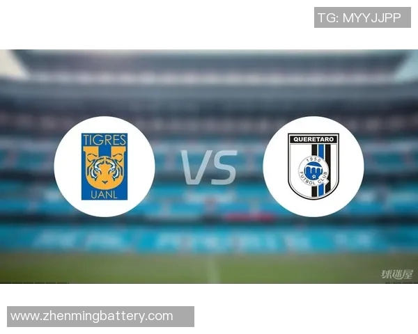 2017年墨美洲对阵老虎大学的精彩赛事回顾与分析 2017年墨美洲对阵老虎大学的精彩赛事回顾与分析