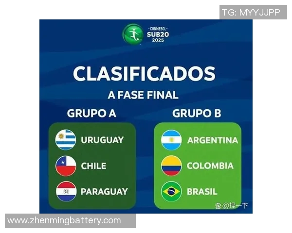 美洲杯巴西对阵精彩直播全程回顾与赛后分析