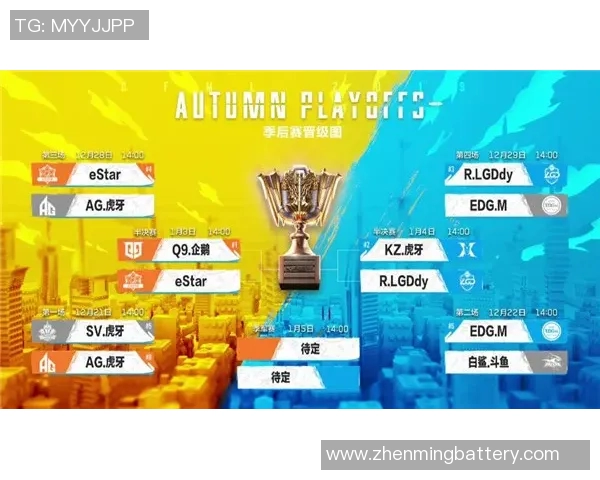 2019年布里斯班对阵惠灵顿的精彩赛事回顾与分析 2019年布里斯班对阵惠灵顿的精彩赛事回顾与分析