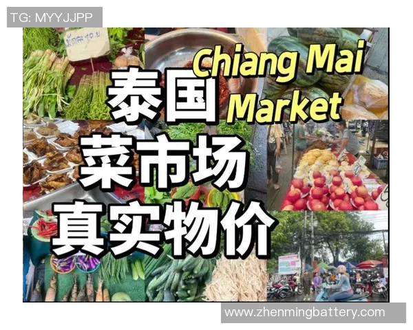 泰国市场上是否存在VS品牌的相关信息与产品分析