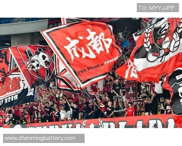 成都乒乓球队速度之争引发热议球迷和专家各执己见探讨技术与战术MBA