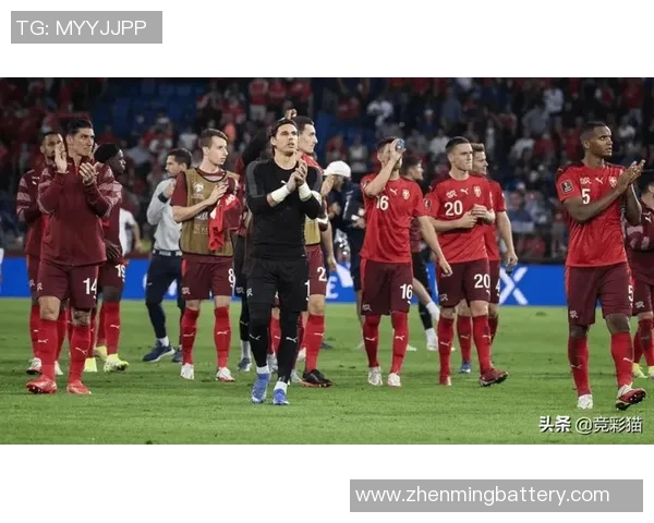 北爱尔兰与挪威比赛水位分析及投注建议探讨