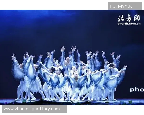 南北明星对决2020年谁更受欢迎南方魅力与北方风采的精彩碰撞 南北明星对决2020年谁更受欢迎南方魅力与北方风采的精彩碰撞