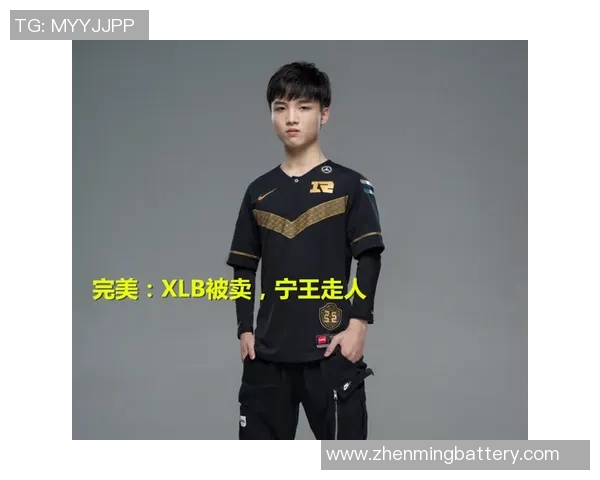 王者荣耀战术解析IG战队防反体系的深度剖析与实战应用