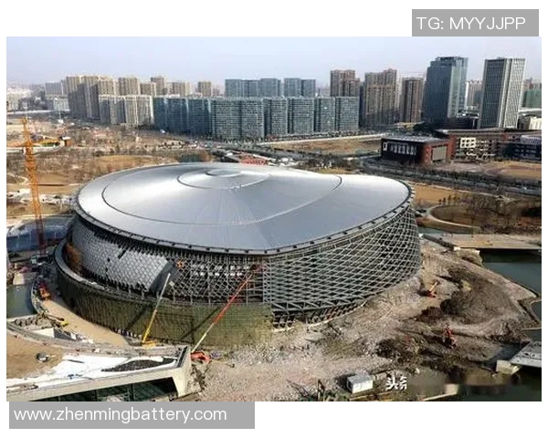 杭州乒乓球队实力分析与发展潜力探讨全面解读